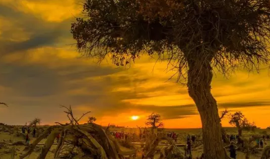 1775226909174606.png 搜狗高速浏览器截图20260403223203.png