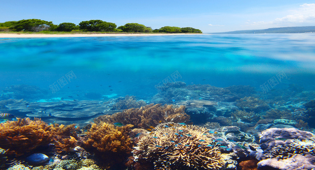 1775227109455732.png 搜狗高速浏览器截图20260403222707.png