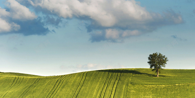 1775228065184328.png 搜狗高速浏览器截图20260403222523.png